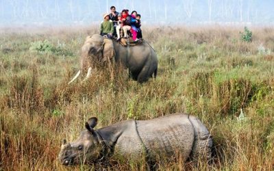 JUNGLE SAFARI IN NEPAL