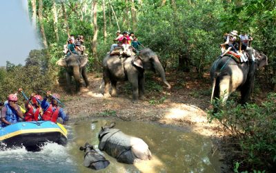 CHITWAN JUNGLE SAFARI IN NEPAL