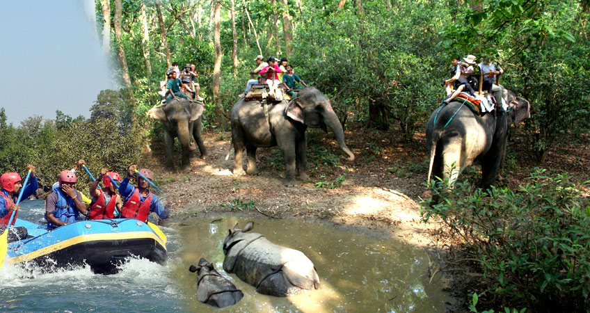 chitwan safari nepal