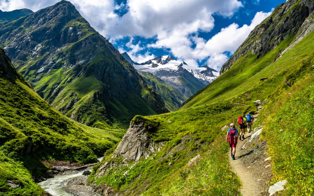 Best Trails for Trekking