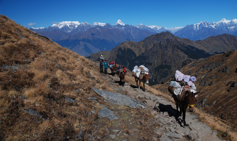Himalayan Trekking Adventure 