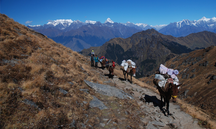 Best Short Tours in Nepal