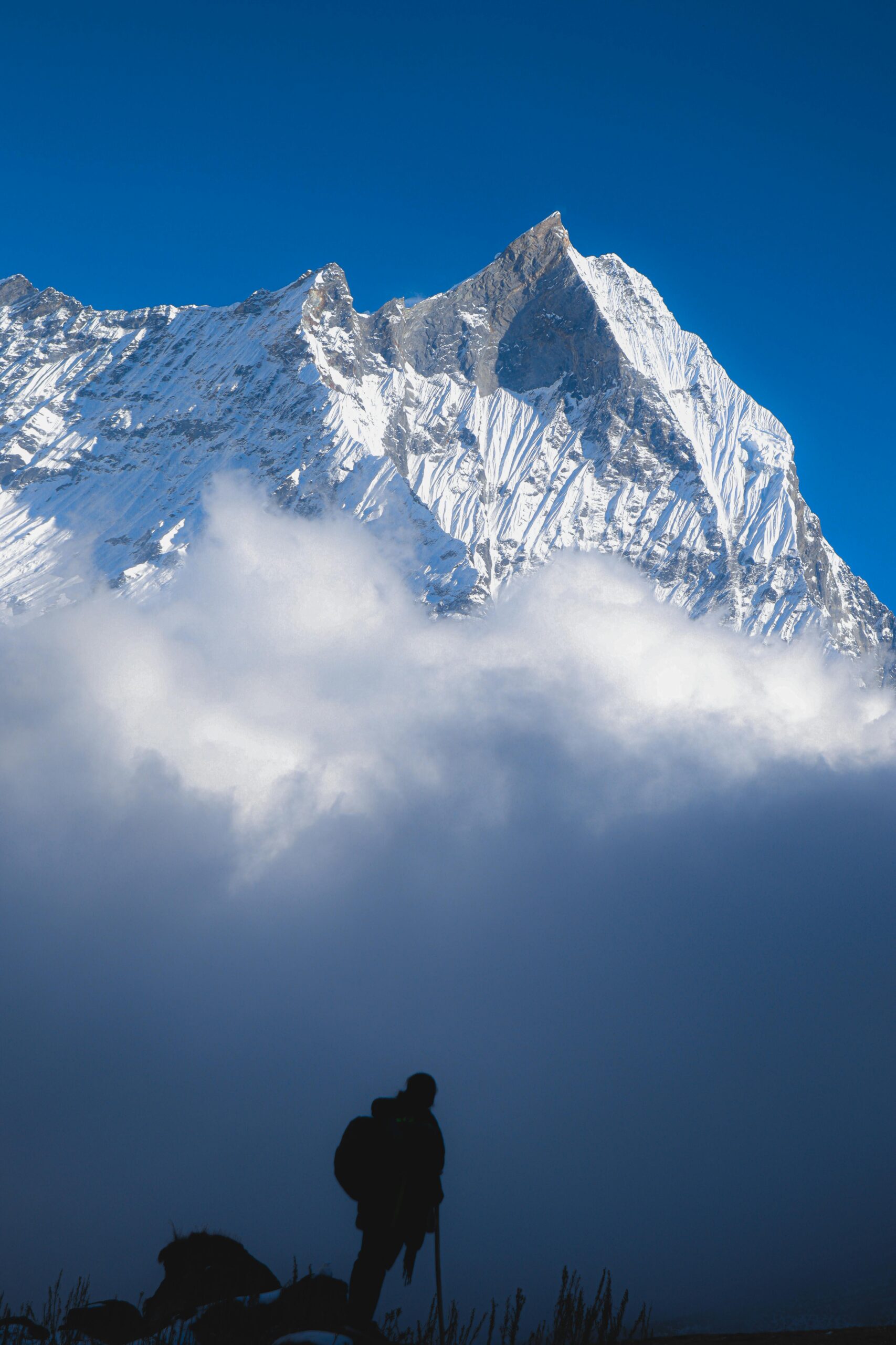 Annapurna trekking is part of the yoga teacher training