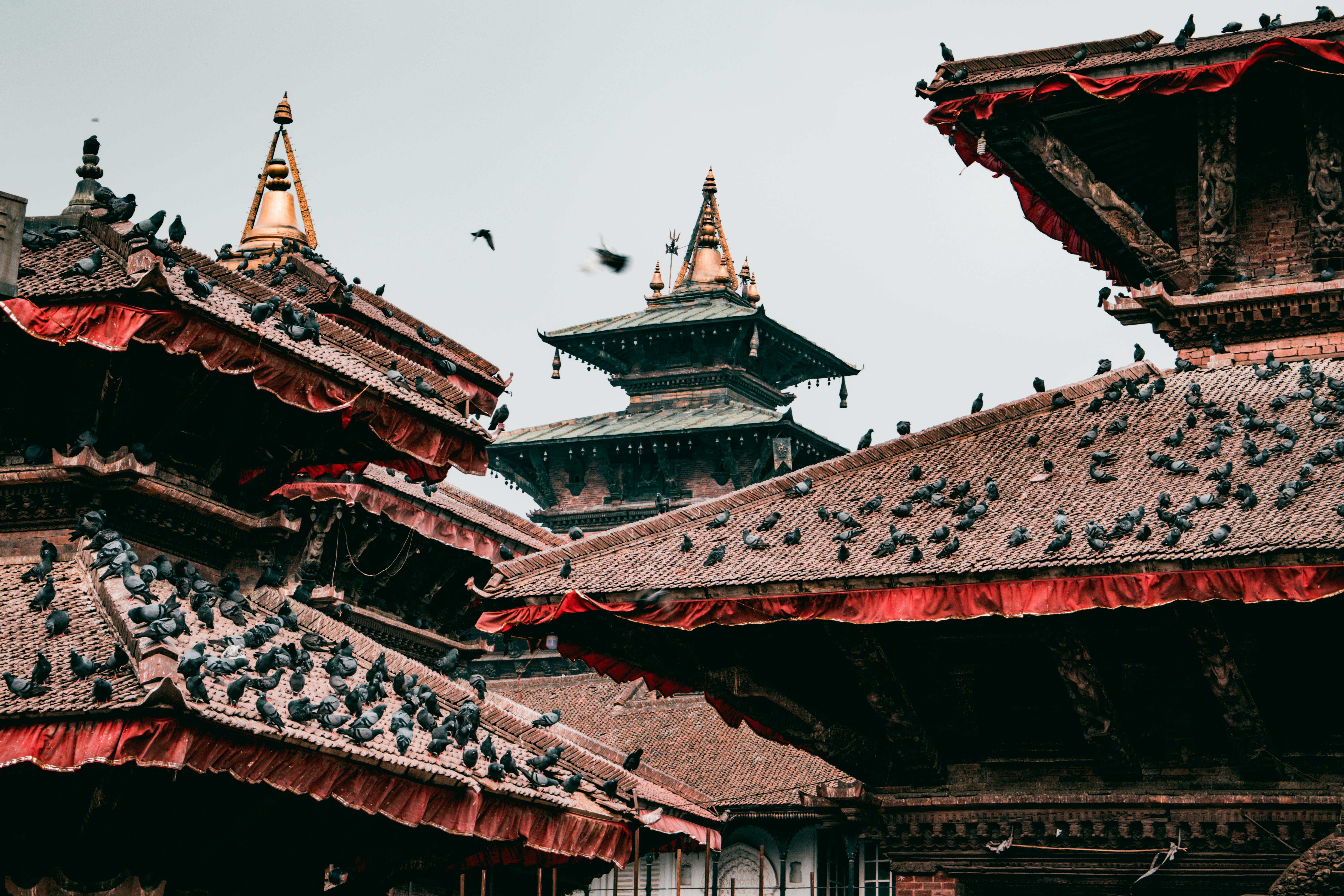 kathmandu valley sightseeing tour offers various temples