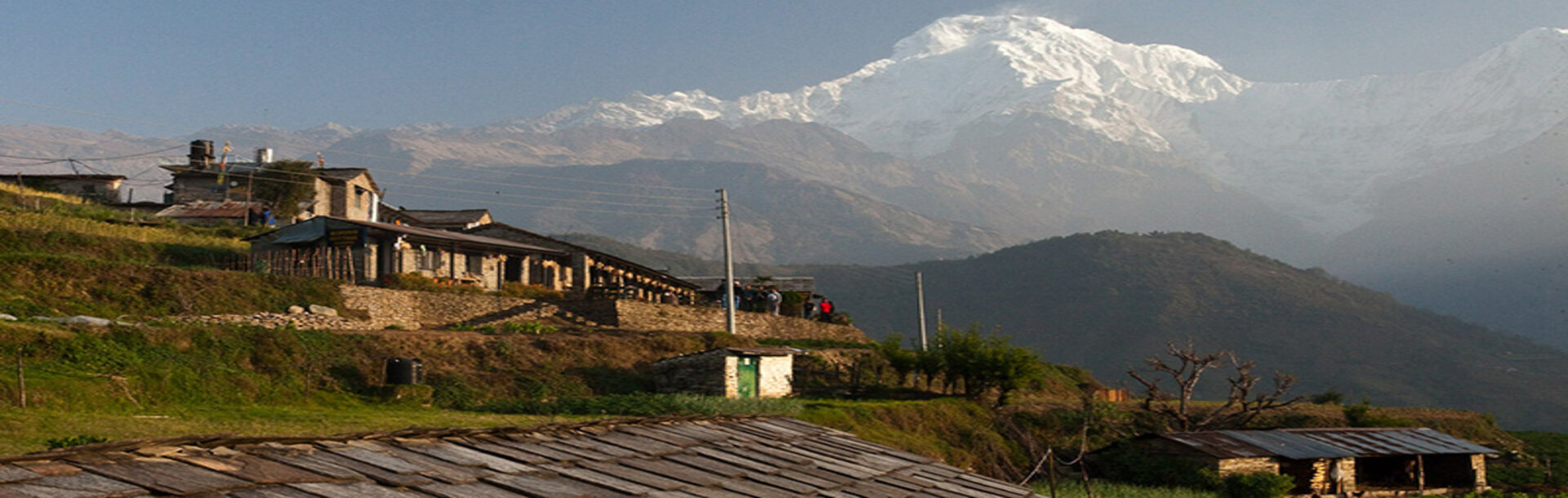 ghorepani poonhill is one of the easy treksking trails in nepal