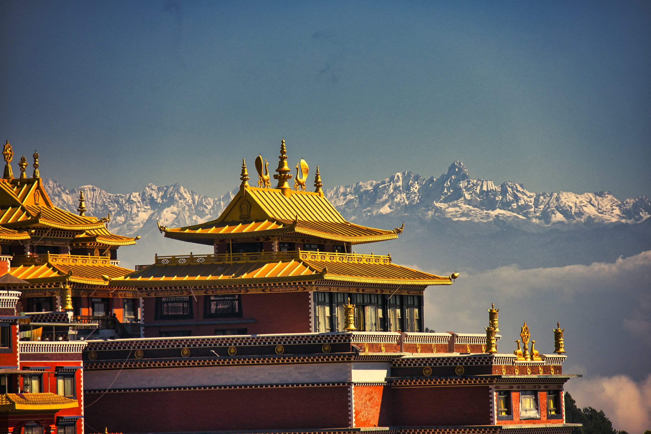 you will find plenty of top buddhist monasteries in nepal