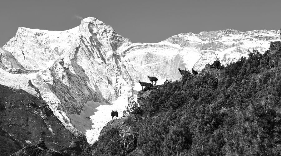 komgde ri himal climb takes place at everest region