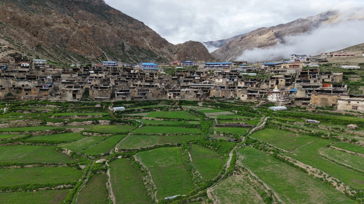 nar phu valley is hidden gem for cultural trekking tours in nepal
