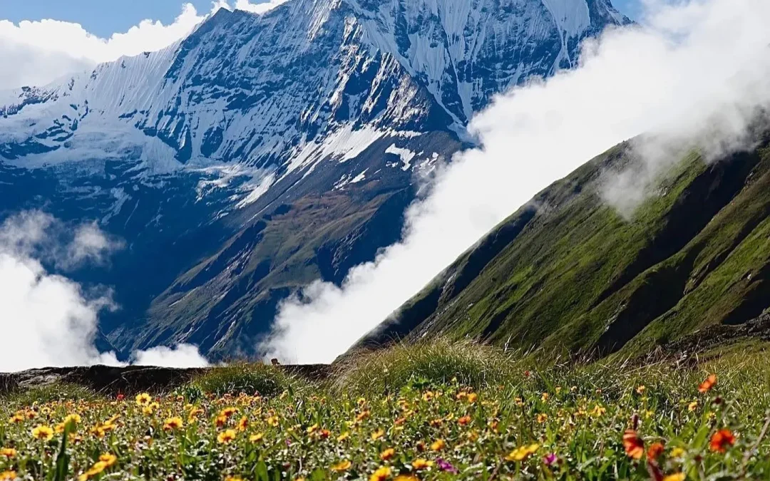 Nepal Monsoon Trekking Guide Explained