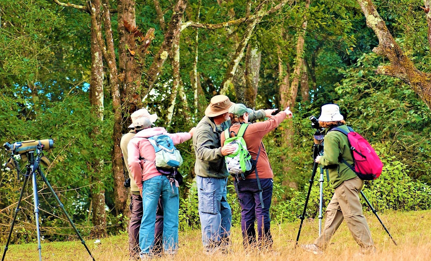 bird watching is a beautiful leisure activity for the trekkers