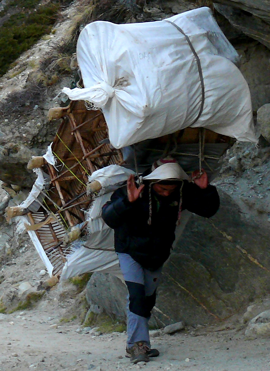 sherpa people can carry weight above 50 kgs with ease